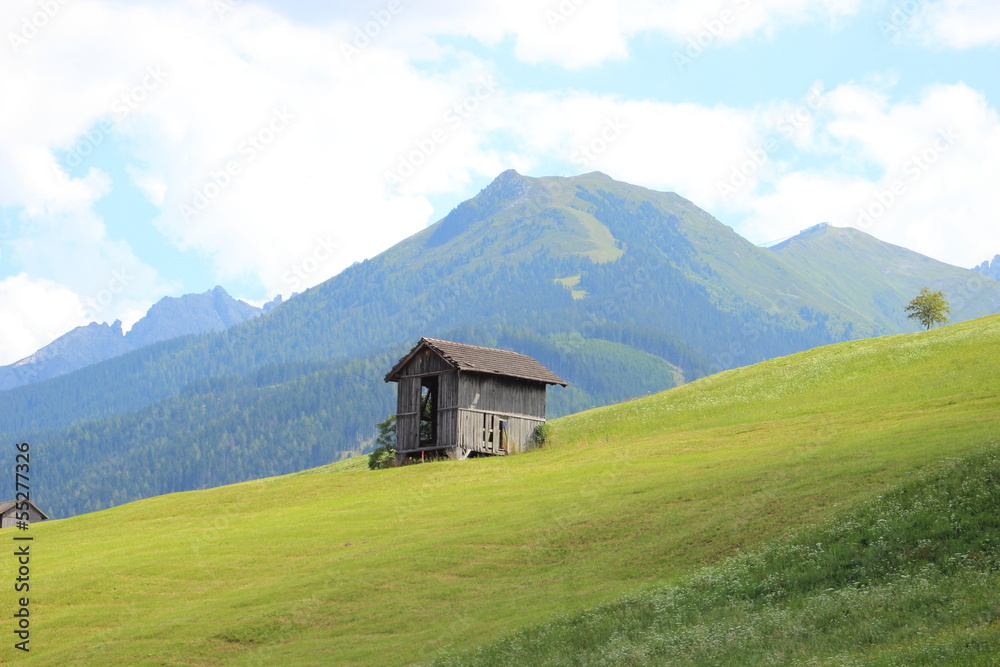Single shelter in hay field in the Alps Single shelter in hay field in the Alps
