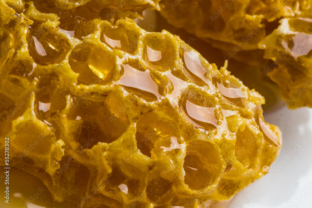 close-up pieces of honeycomb with honey close-up pieces of honeycomb with honey