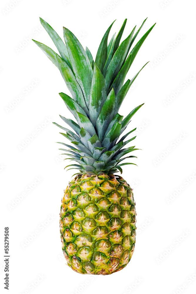 Ripe whole pineapple isolated on white background Ripe whole pineapple isolated on white background
