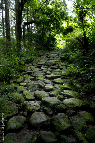 箱根の旧街道石畳