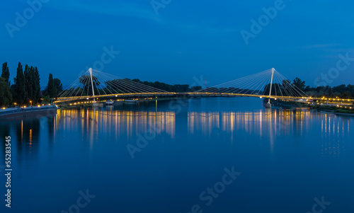 Mimram footbridge over the Rhine between France and Germany