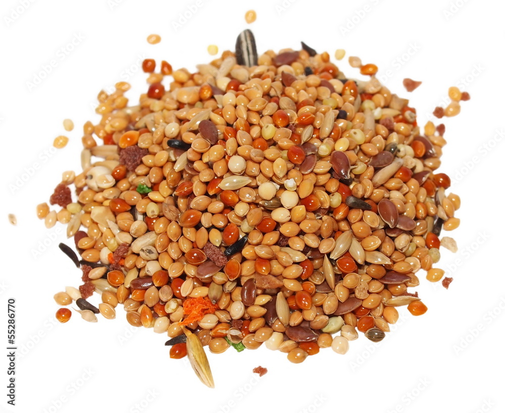 pile seeds and fruits for birds. complete food for budgies pile seeds and fruits for birds. complete food for budgies