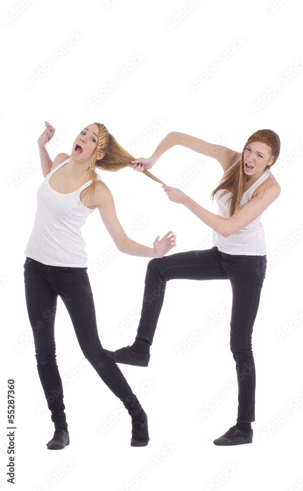 Gemini sisters fighting on a white background