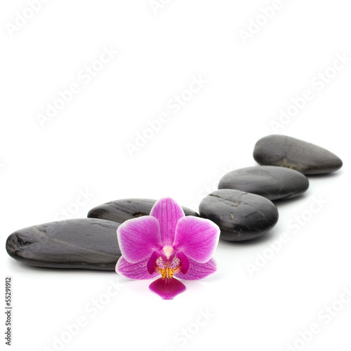 Zen pebbles path. Spa and healthcare concept.