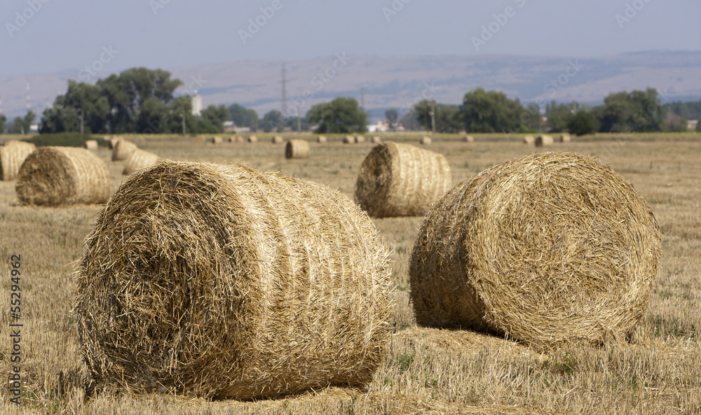 Hay Bale Scenery