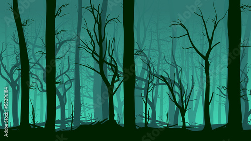 Horizontal illustration of pinewood forest.