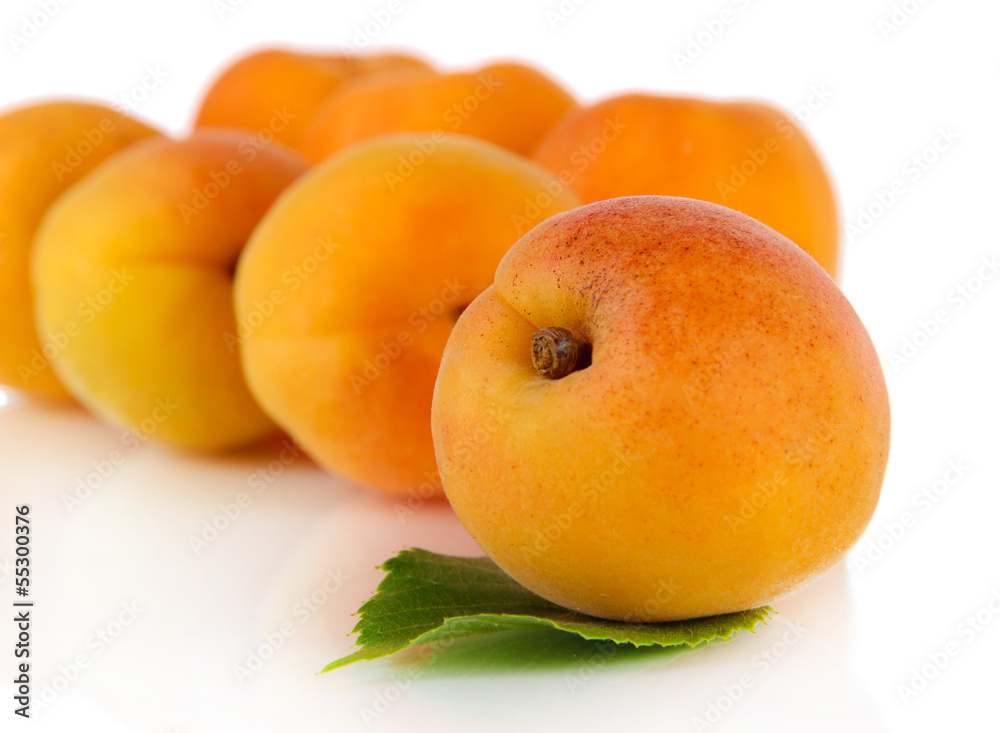 Apricots isolated on white Apricots isolated on white