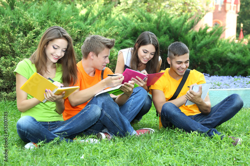 Happy group of young students sitting on meadow
