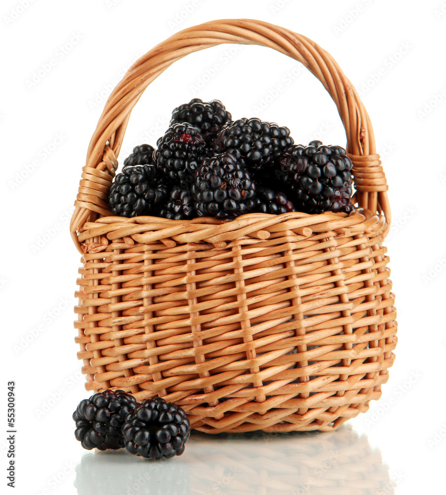 Ripe blackberries in basket isolated on white Ripe blackberries in basket isolated on white