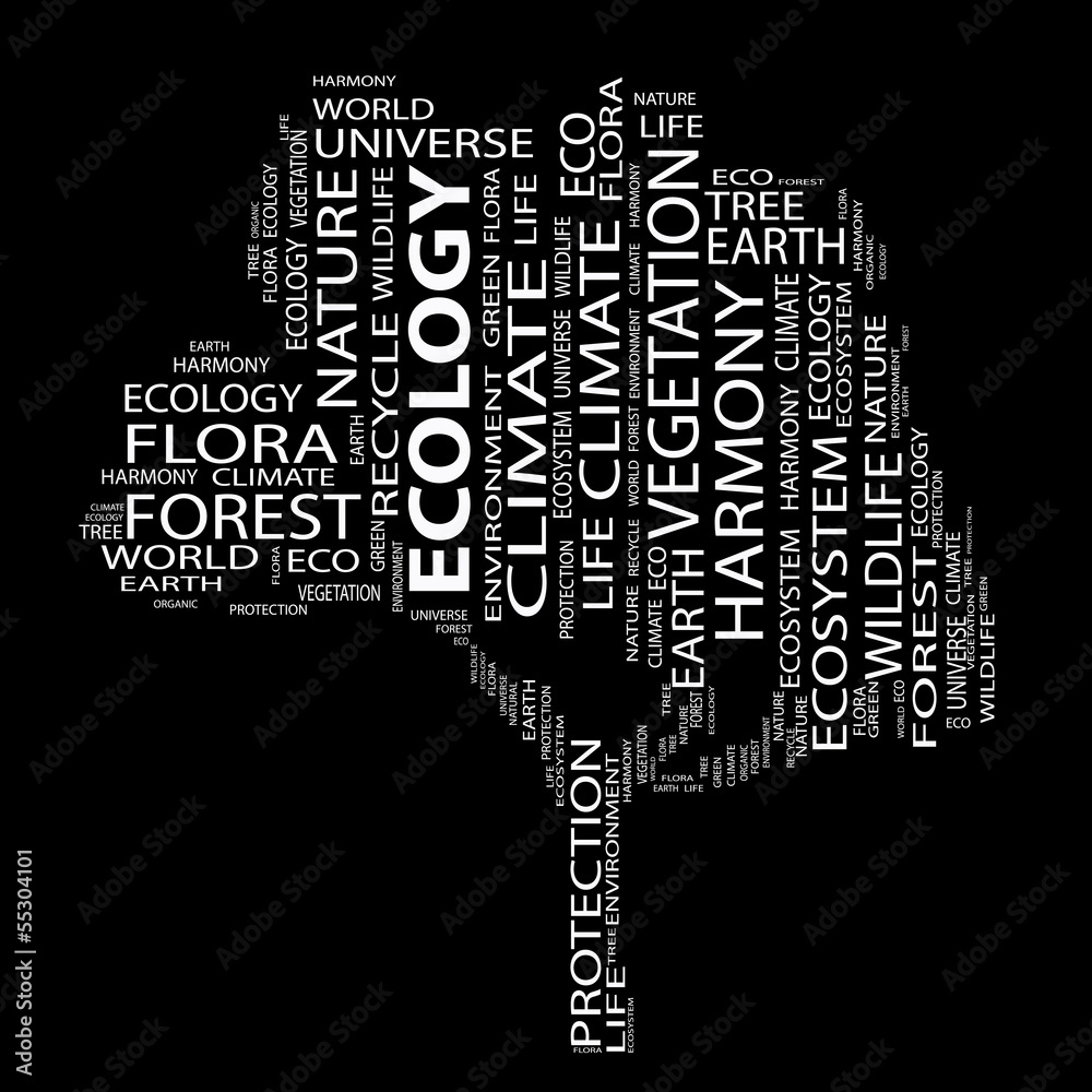 Conceptual ecology word cloud