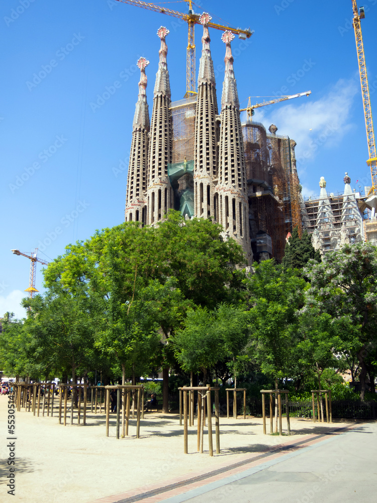 Fototapeta premium Sagrada Familia
