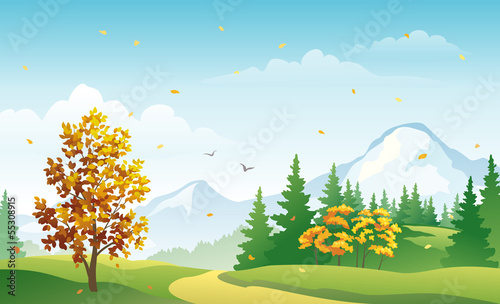 Autumn mountain forest