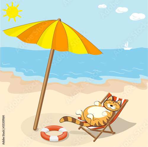 cat-beach