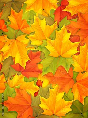 Autumn background