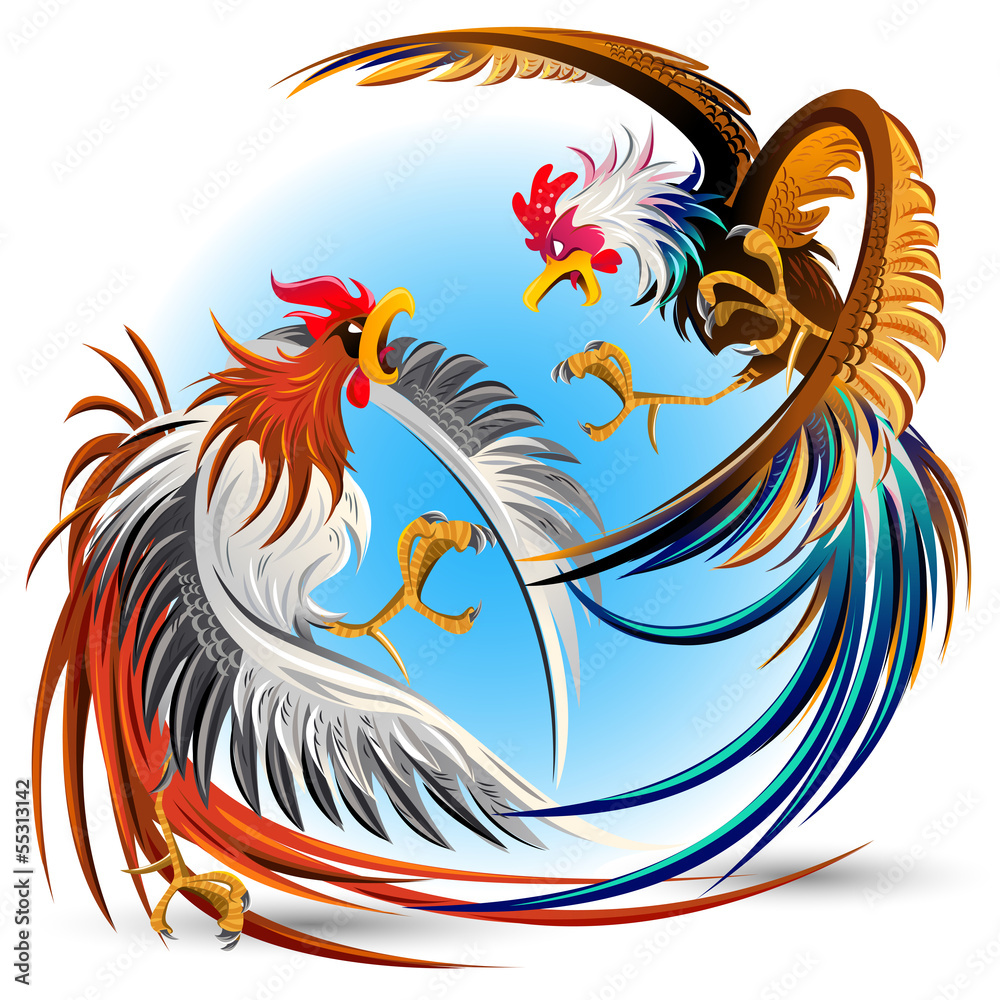 Foto Cockfight Fighting Cocks