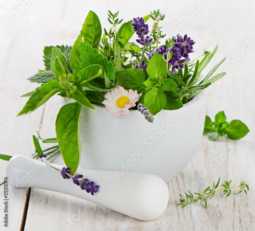 Mortar with fresh herbs