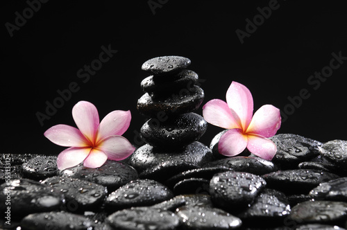 Spa Concept-set of three frangipani with stacked stones