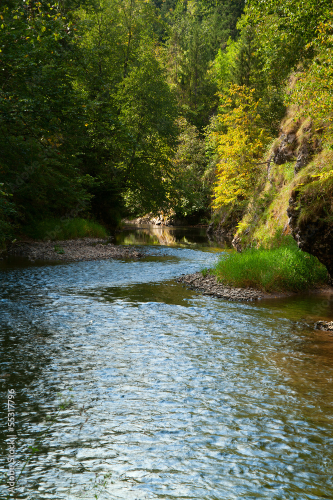 Naklejka premium mountain stream