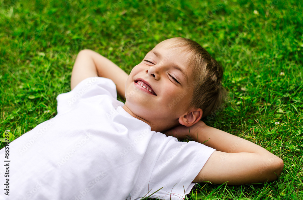 Smiling little boy lying in a field Smiling little boy lying in a field