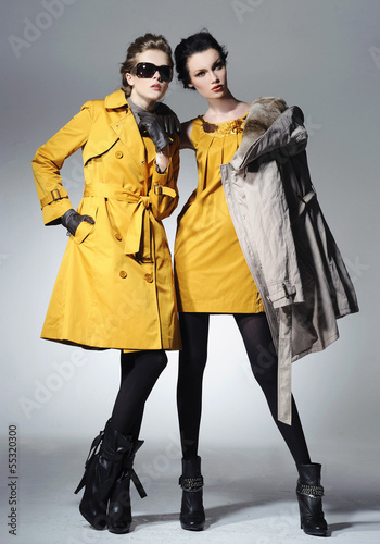 Vogue style photo of a two fashion posing on light background
