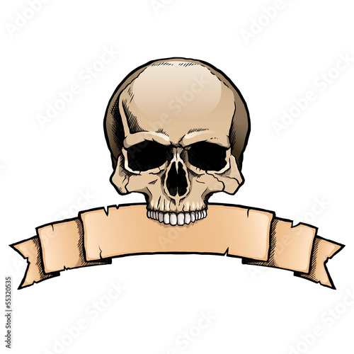 Colored human skull with a ribbon banner.