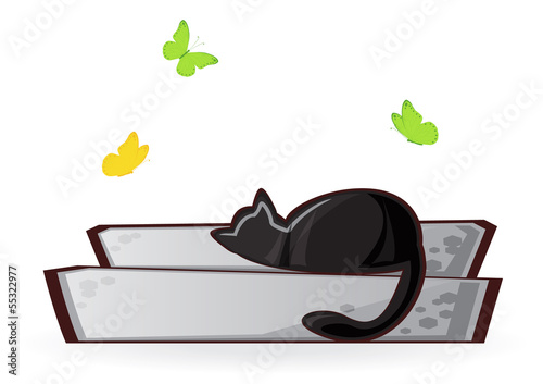 cat on the porch
