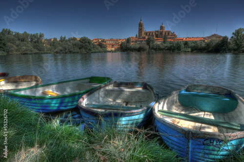 View of Salamanca from the river