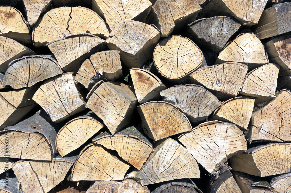 Fototapeta premium tree logs