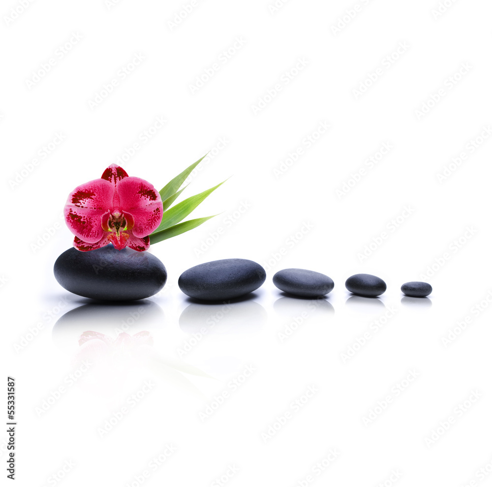 Fototapeta premium Kieselsteine mit Blume