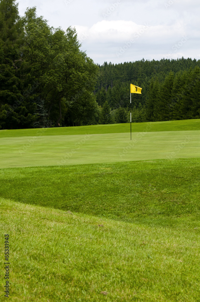 Obraz premium A golf course.