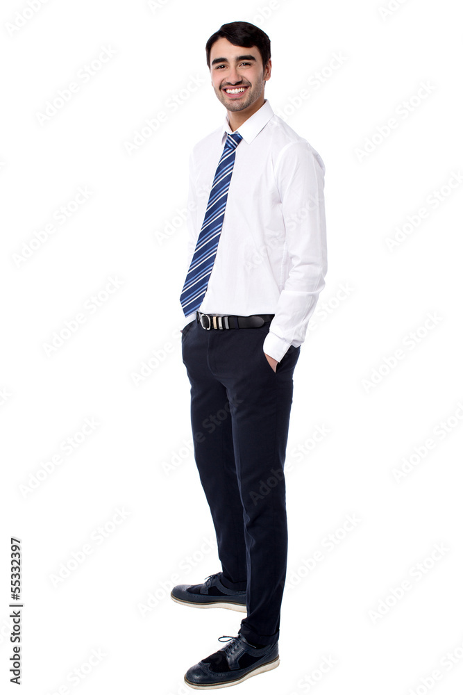 Portrait of handsome business executive Portrait of handsome business executive