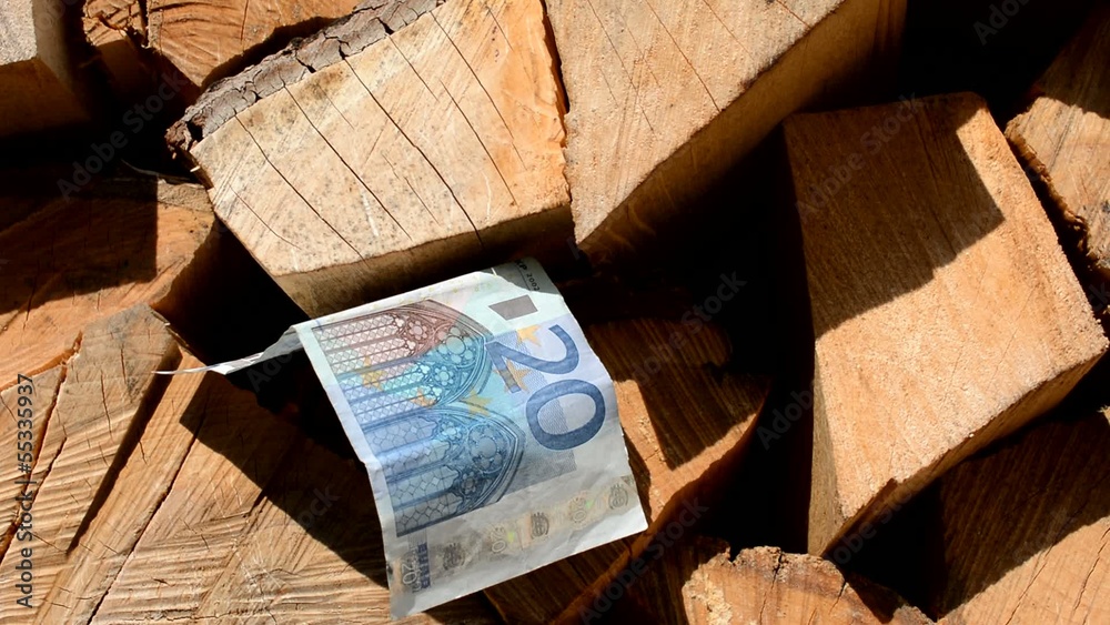 Geld verdienen mit Kaminholz