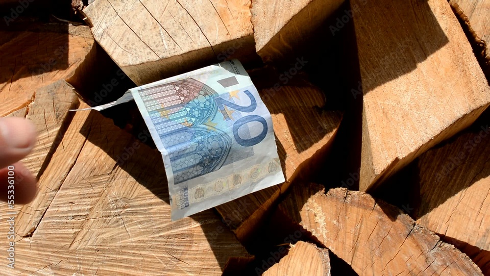 Mit Brennholz Geld sparen
