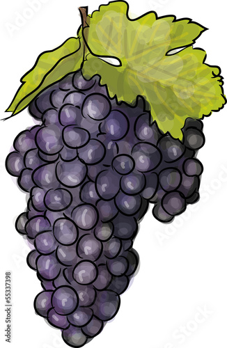 traube