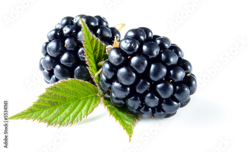 Blackberry with leaves #55341161