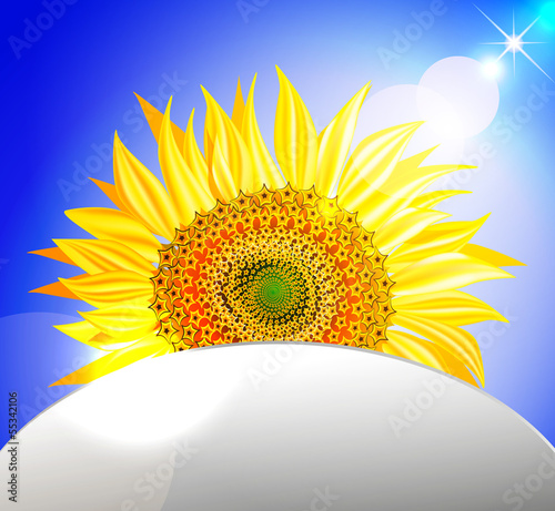 sunflower over blue sky