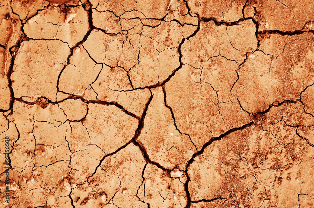 Fototapeta premium drought