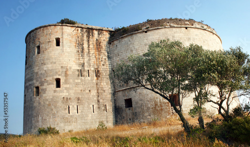 Fort Arza photo