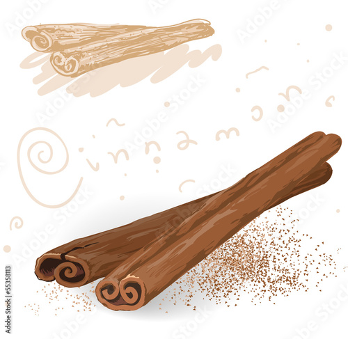 Word spices. Cinnamon. Vector.