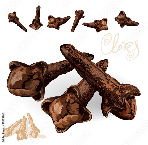 Cloves