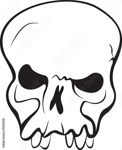 Skull