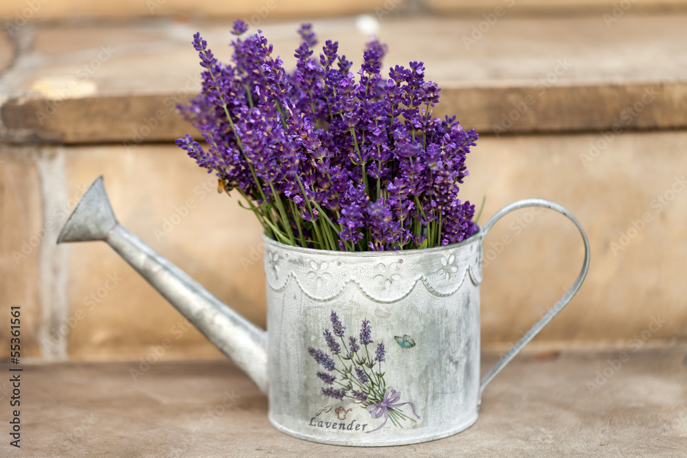 Fototapeta premium Watering Can and Lavende