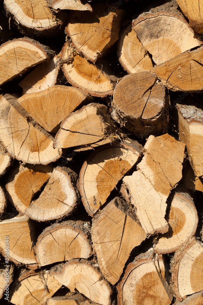 stack of firewood prepared for winter stack of firewood prepared for winter
