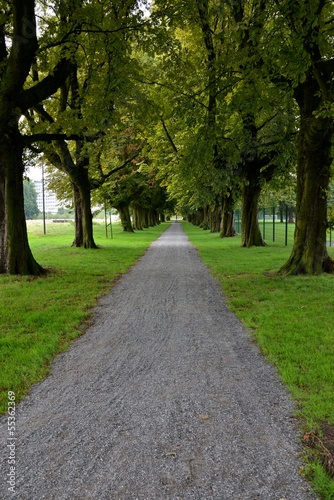 A path