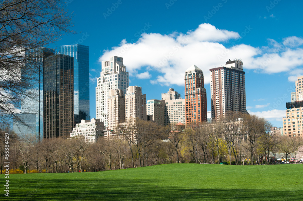 Obraz premium Central Park, New York