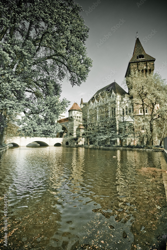 Fototapeta premium Vajdahunyad Castle