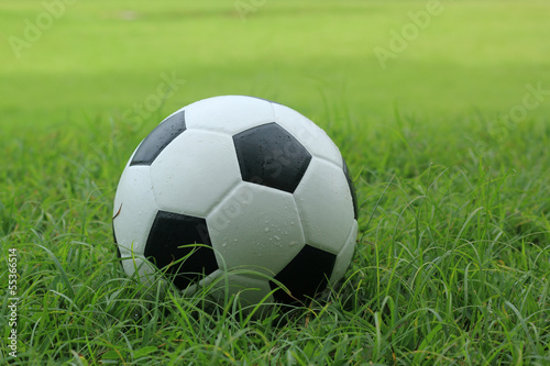 leather Soccer ball on grass © kungverylucky