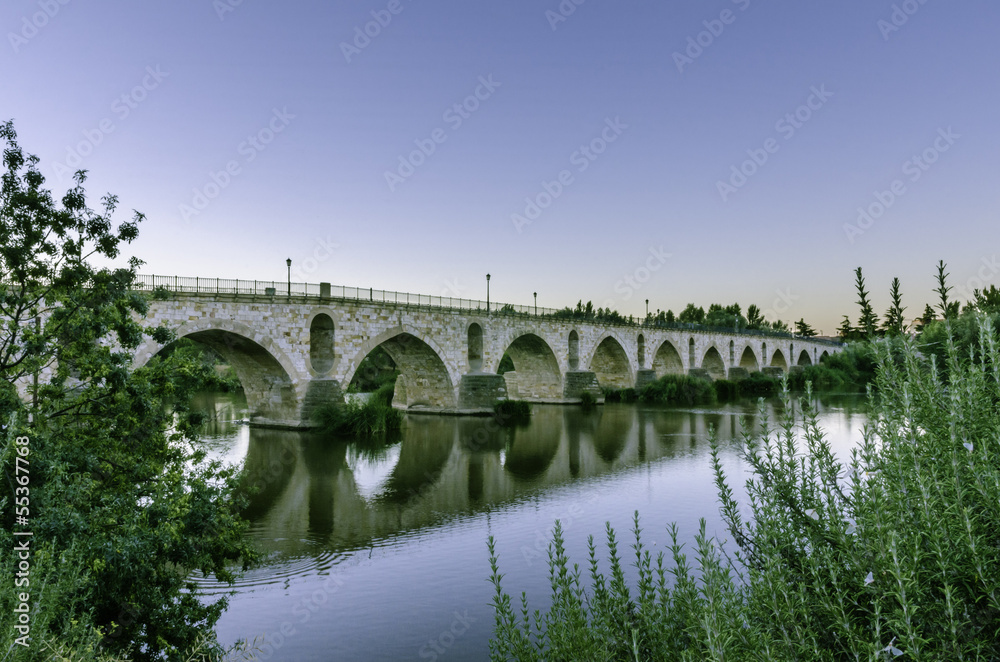 Roman Bridge of Zamora (Spain)