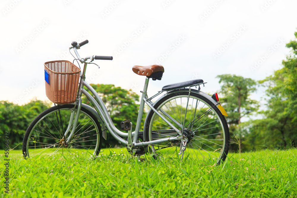 Fototapeta premium Bicycles in the park