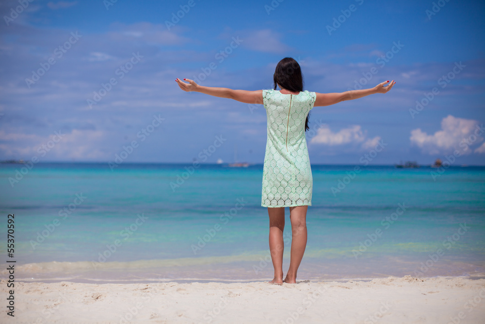 Back view of beautiful girl in dress walking like a bird on the Back view of beautiful girl in dress walking like a bird on the